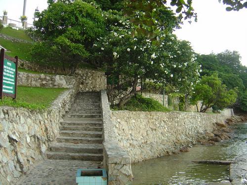 781.jpg